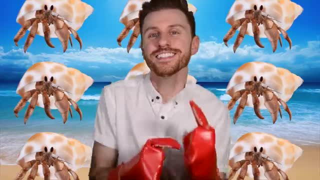 hermit crabs ['Hermit Crab Conga' Official Music Video]_Cut