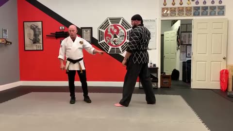 Hapkido Instructor Training