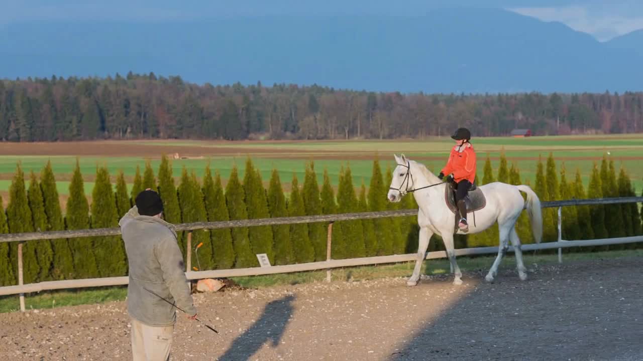 Riding horse. Girl on white beautiful horse riding in nature with sunshine in background