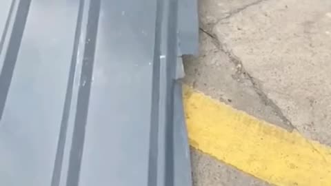 CRC vídeos curiosos