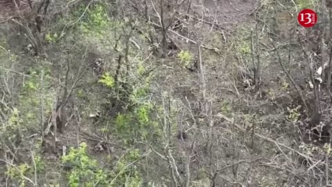 Russian soldier surviving a battle, taken hostage by Ukrainian soldier in a wooded area