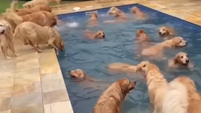 Who's going to jump in