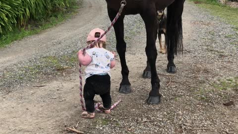 Little Girl Leads Horse