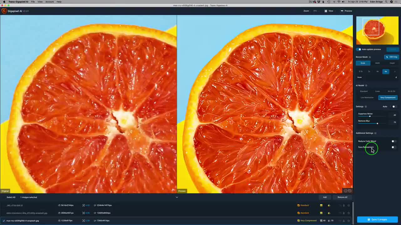 TOPAZ GIGAPIXEL AI : FIRST LOOK (New UpDate Version 5.5.0)