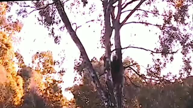 Are you afraid of this ?