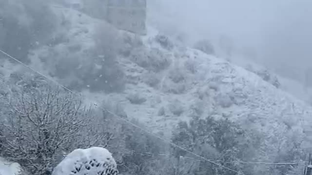 snow-fall_