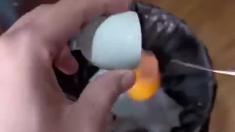 A chicken from a egg