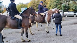 Hunts day horses