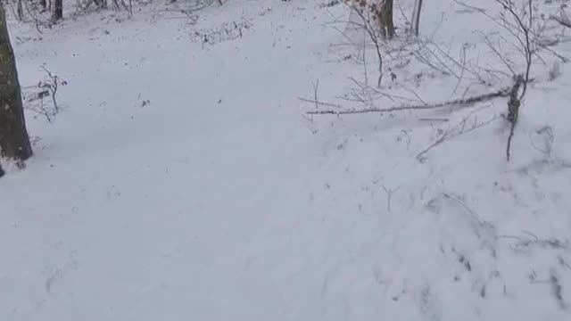 E_mtb Hammer