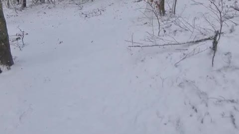 E_mtb Hammer