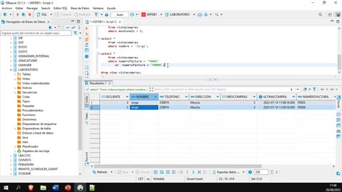 Oracle y el lenguaje PL/SQL parte 15. Creación y eliminación de vistas