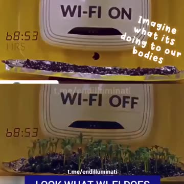 What WiFi Does To Seedlings