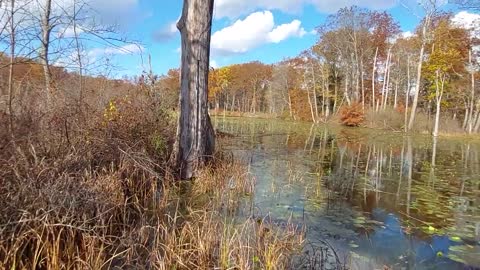 Lily Pond North Chagrin Reservation METROPARK