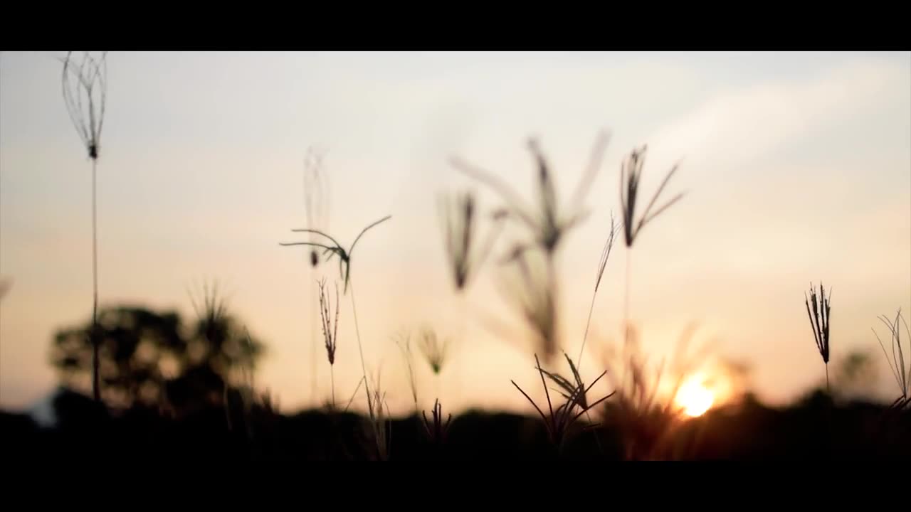 Natural beauty photography environmental cinematic video