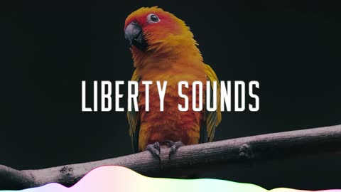 TH3 DARP & Seum Dero - Thrills (ft. Rachel Leycroft) | Música Sem Direitos Autorais