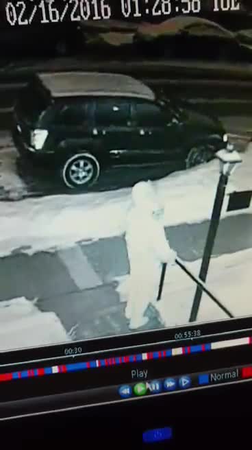 Dog Pissing On My Front Lawn