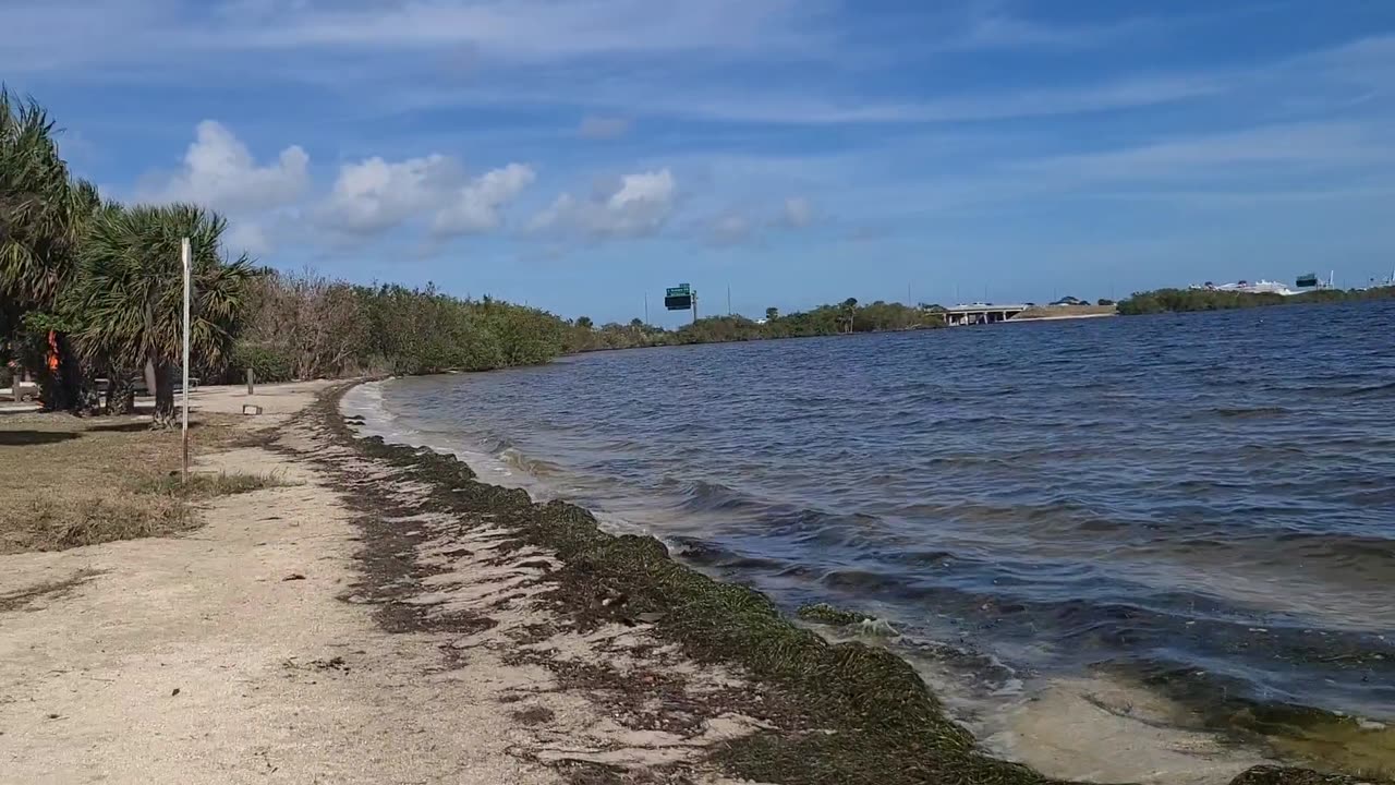 Luna at Kelly Park East Cape Canaveral