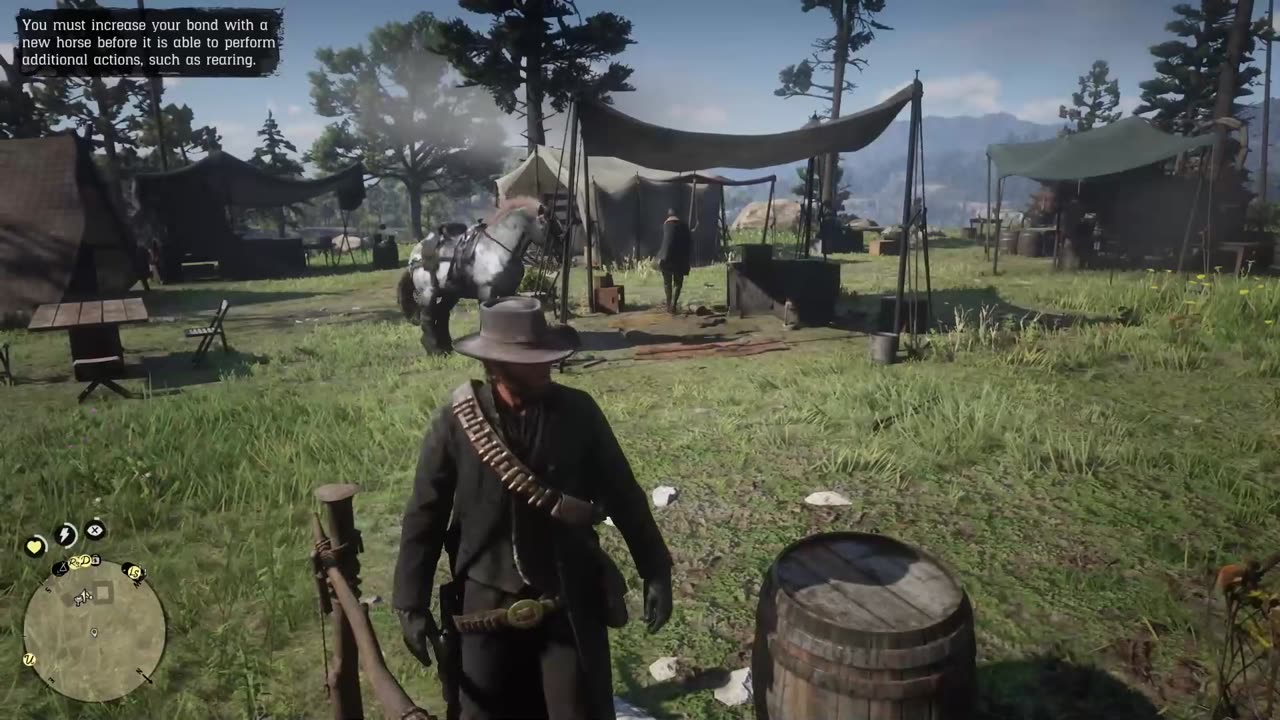 Red Dead Redemption 2 Gameplay Experience