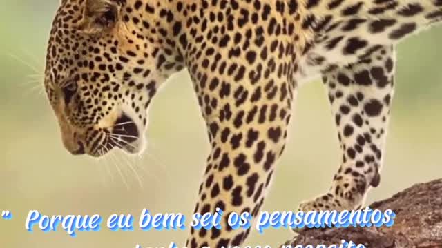Coragem Para Superar o Medo...