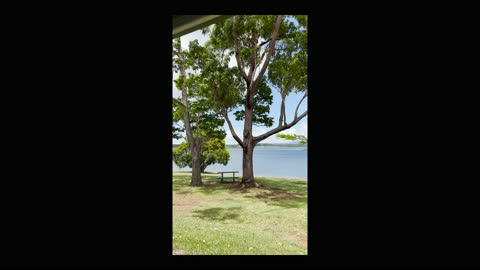 Enjoying the breeze at Lake Tinaroo