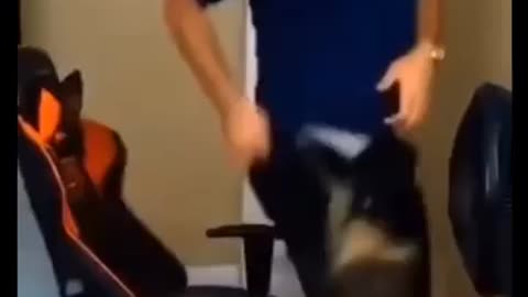 Cat is very scary animal
