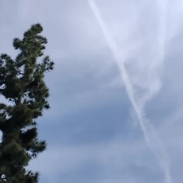 A Message to people of earth, who still have a functioning brain cells