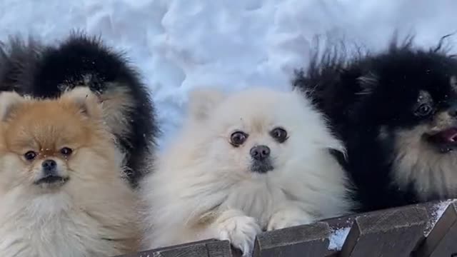 their own fierce nature