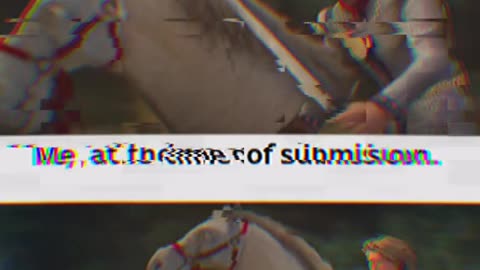 Memes