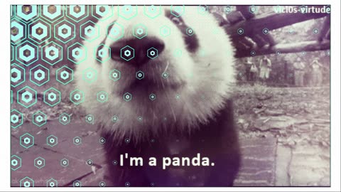 Not to be missed! Pandas will make your mind peaceful！（1st）