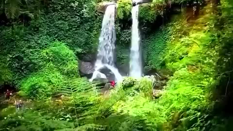 Beauty of Nature