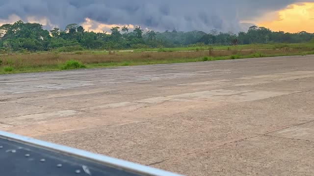 Time-Lapse in the Amazon rainforest