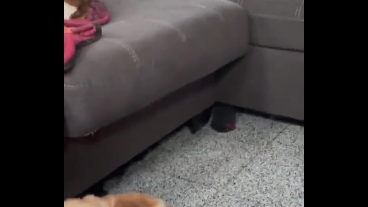 All it takes is for that baby to wake up, and everyone in the room is up ðŸ¤ðŸ˜…