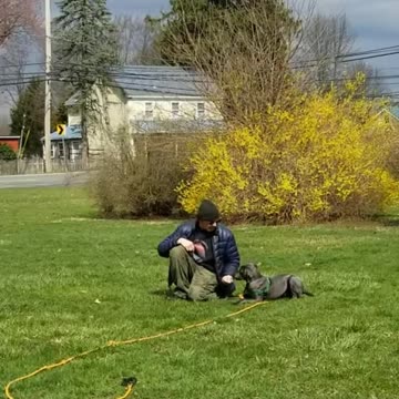 River adding the verbal cuept2