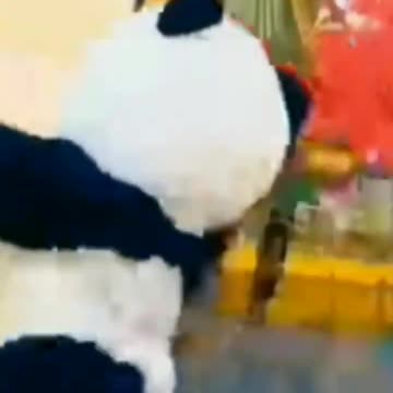 cute panda