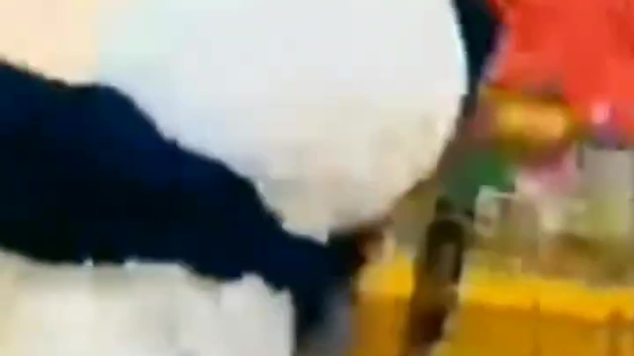 cute panda