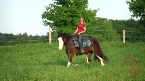 Bridgette - Clydesdale Mare - Claire Gregg