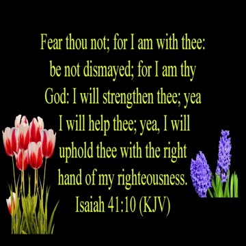 Isaiah 41:10 (KJV)