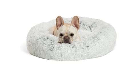 Dog Bed