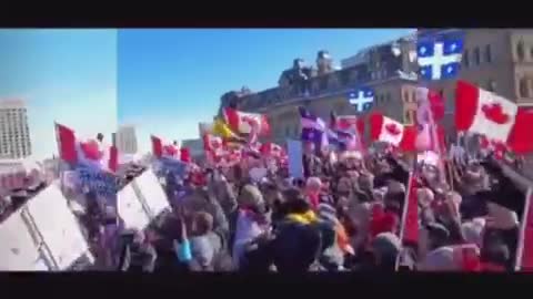 Une des meilleures vidéos sur le mouvement des camionneurs.