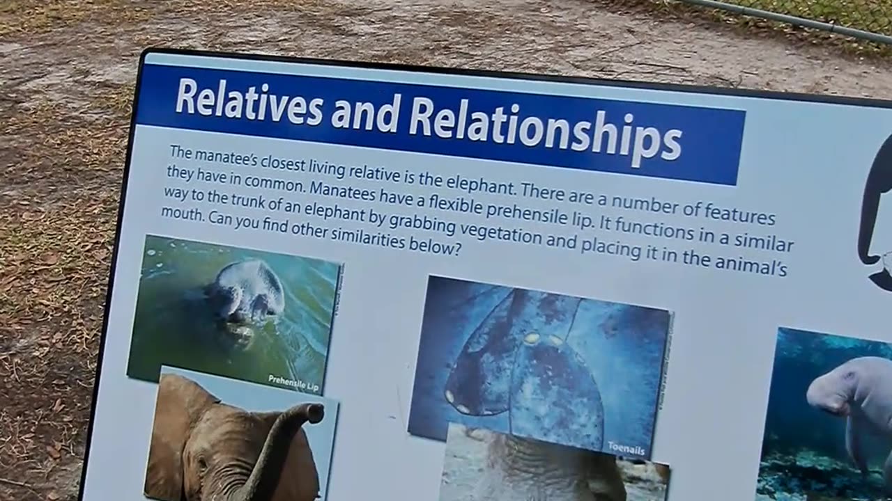 Manatee Park, Fort Myers, Florida January 11th, 2024