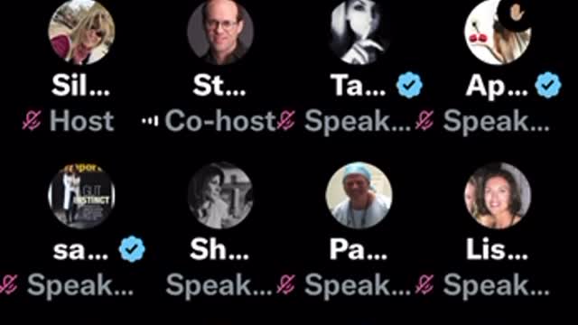 Steve Kirsch, open discussion in Twitter Spaces, VAERS data
