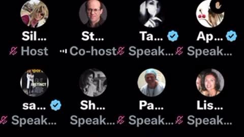 Steve Kirsch, open discussion in Twitter Spaces, VAERS data