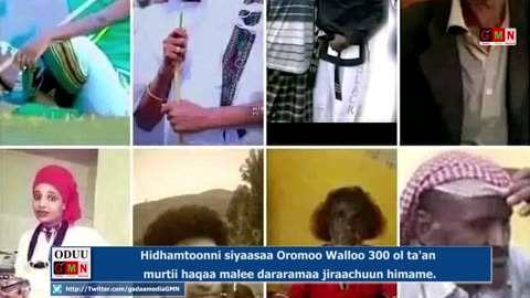 GMN: Oduu Mudde 28/2023