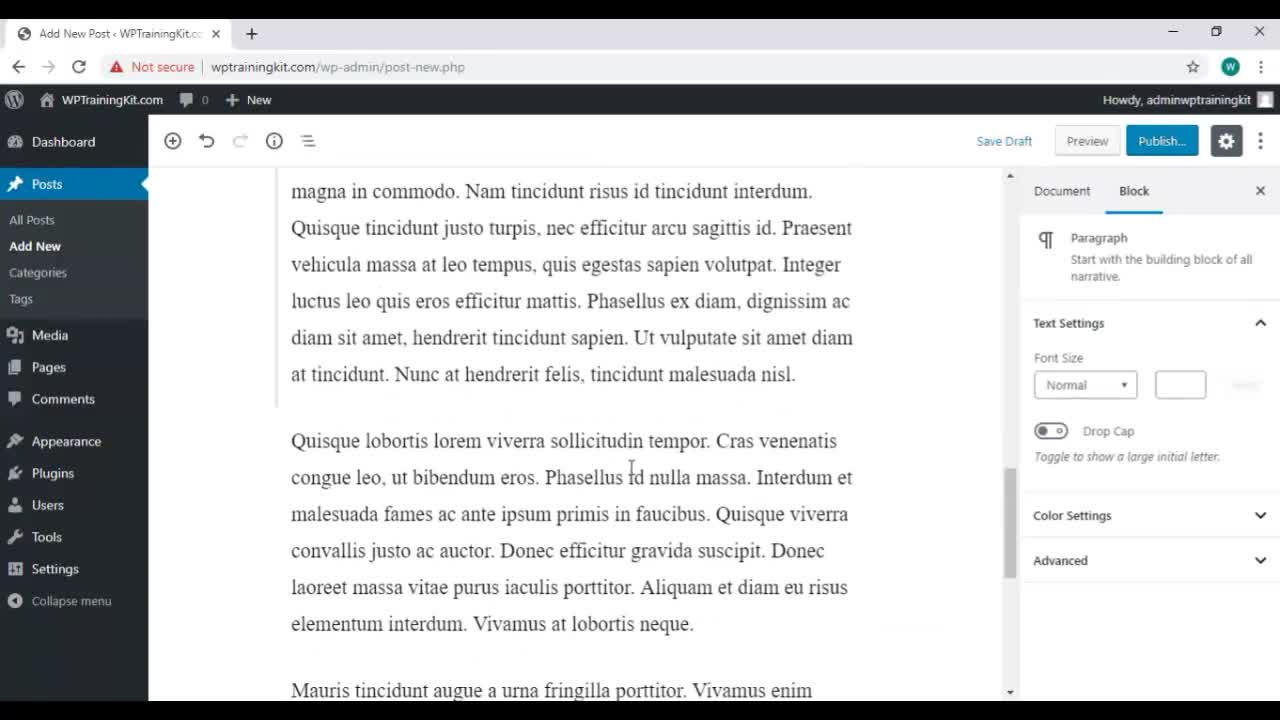 WP Training Video-10/How to create and edit Post with new word press editor