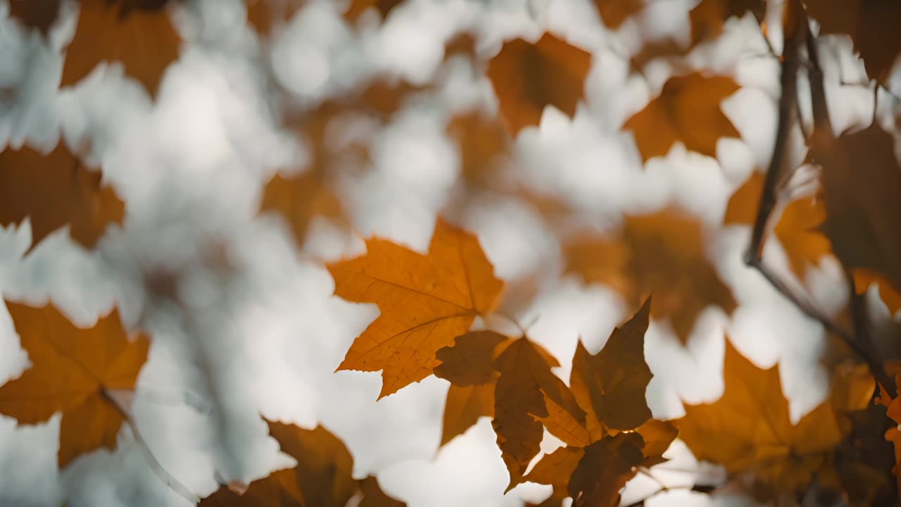 "Harmony Unveiled: The Resplendent Symphony of Earth's Majestic Landscapes and Living Wonders"