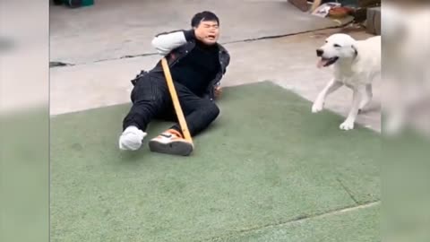 so cute | this man was taunted by the dog