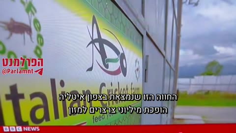 מזעזע דיווח של הבי בי סי באיטליה חרקים נטחנים ומוספים למוצרי מזון בטענה שזה טוב לכדור הארץ (מדיניות הפורום הכלכלי העולמי)