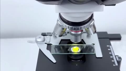 Boiled Egg under the Microscope 🔬😱