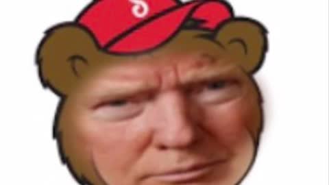 Donald Trump Endorses The Shoney Bear Meme! 🐻
