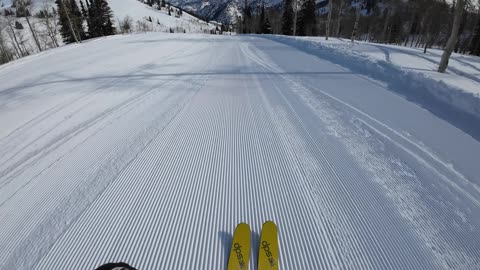 4/8 #2 White Pine hard fast snow